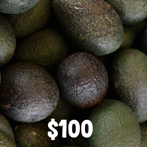 San Diego Avocado Lover Tree Adoption