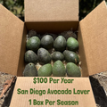San Diego Avocado Lover Tree Adoption