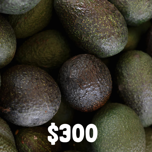 Avocado Harvest Partner-Four Shipments of 12 Delicious Organic Avocados