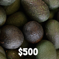 Avocado Grove Steward: Eight Shipments of 12 Delicious Organic Avocados