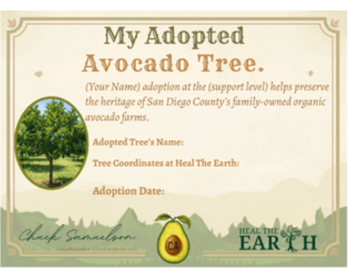 Sample adoption certificate