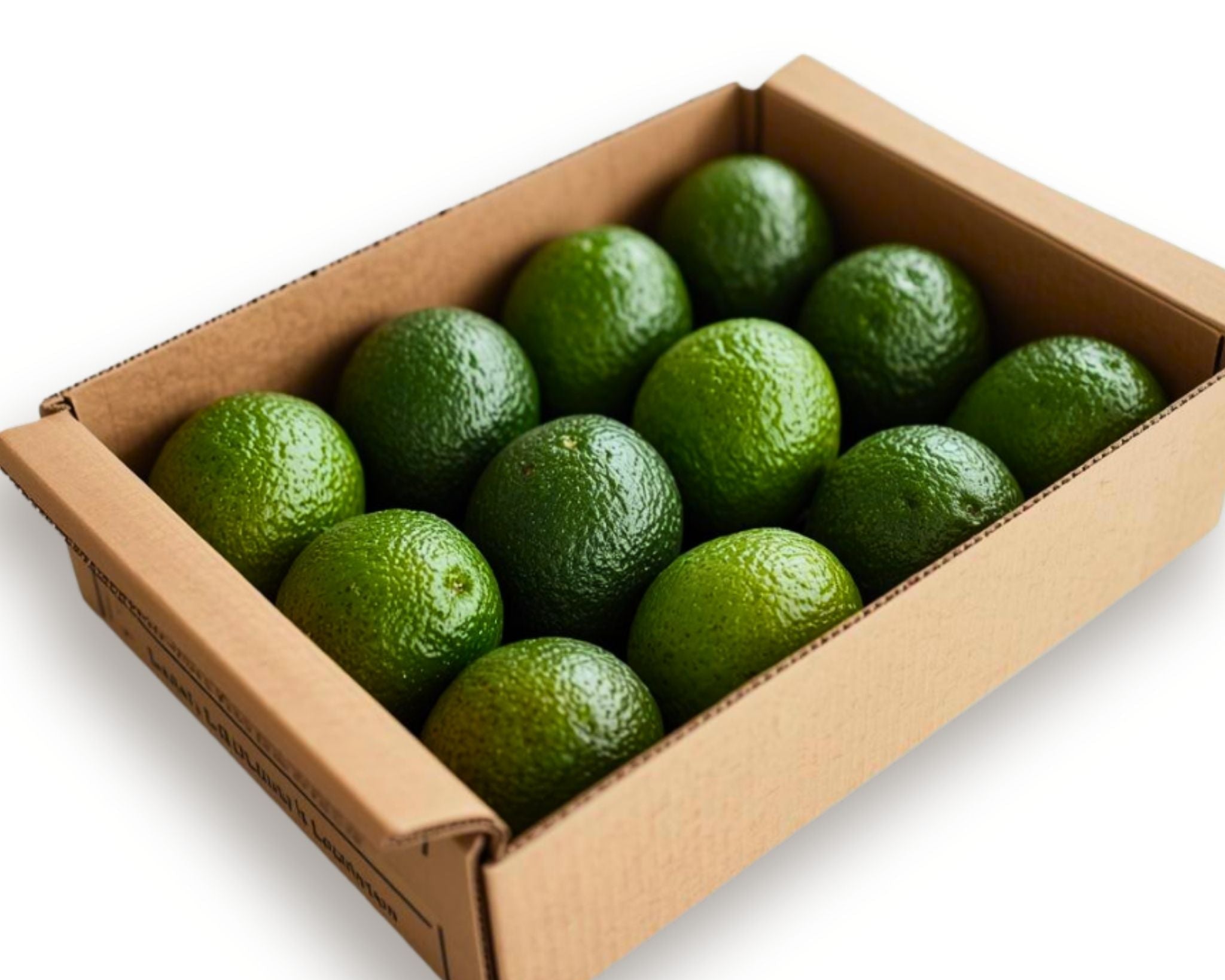 TEST-Avocado Harvest Partner (Dragon)
