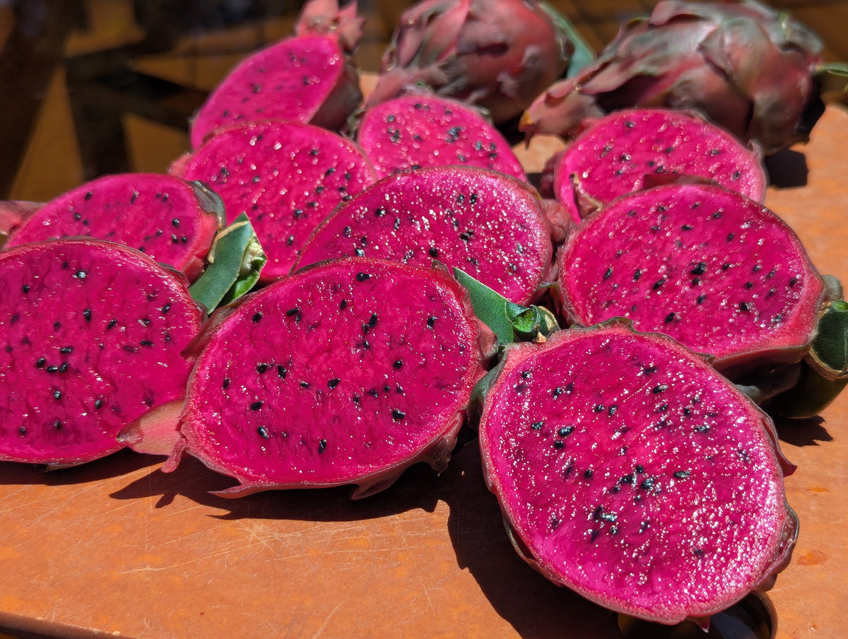Inside a Sugar Baby dragon fruit from Fortule Farms